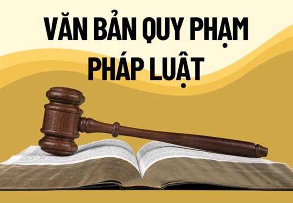 Quy định số 220-QĐ/TW ngày 30/9/2026 của Ban Bí thư về cơ chế tôn vinh, trọng dụng và bảo vệ cán bộ dám đổi mới, dám nghĩ, dám làm, dám chịu trách nhiệm vì lợi ích chung